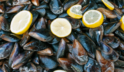 Kapalı Çiftlik Midye