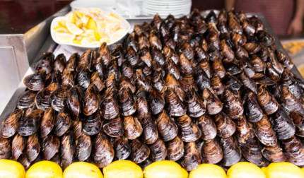 Midye Dolma Küçük Boy (Toptan)