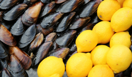 Midye Dolma Standart Boy (Toptan)